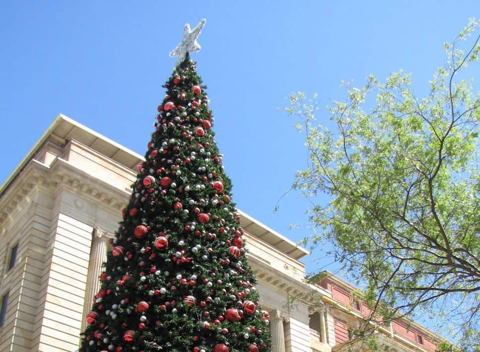 Perth-City-Christmas-Tree-top.jpg